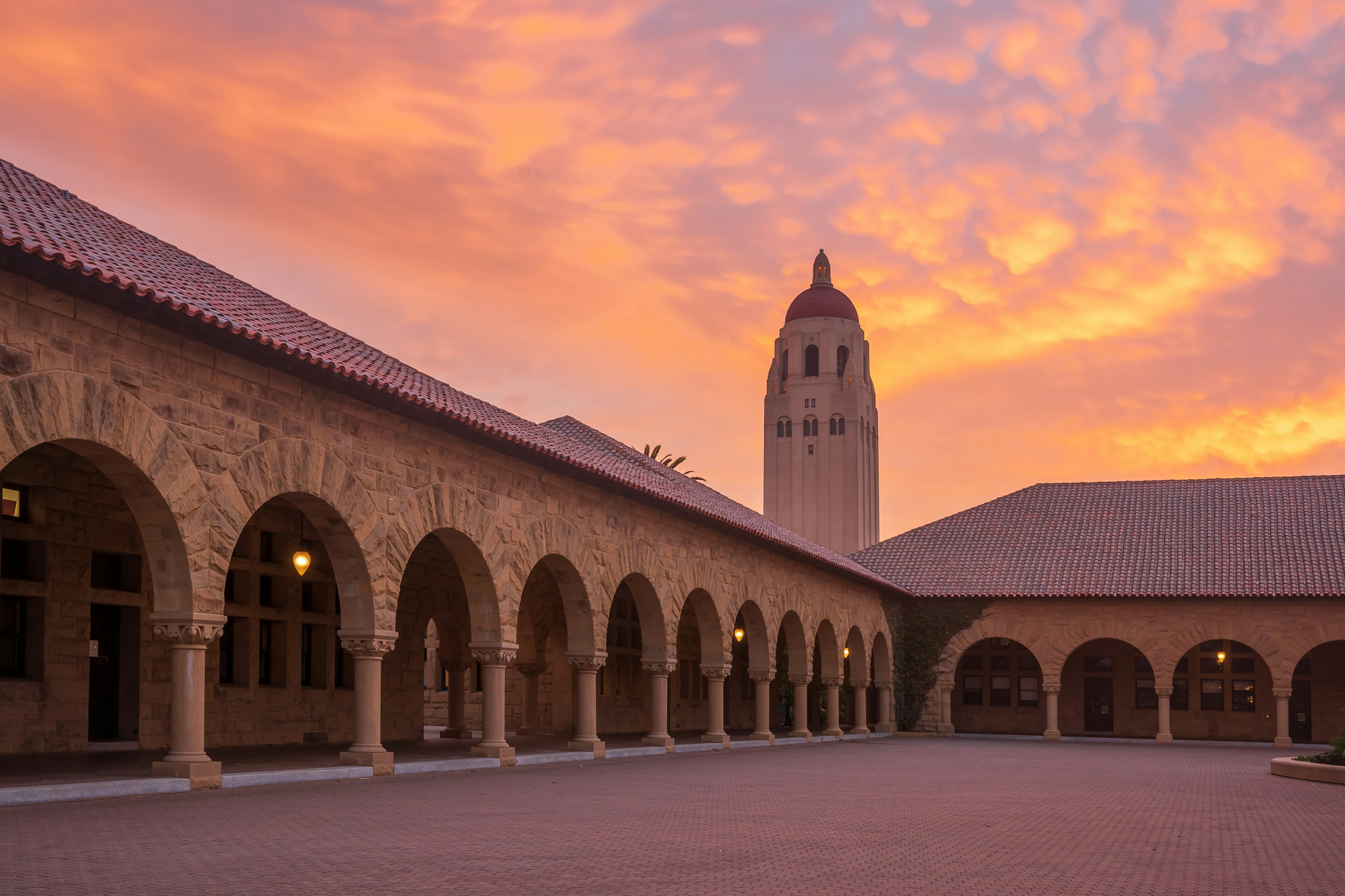 Stanford University